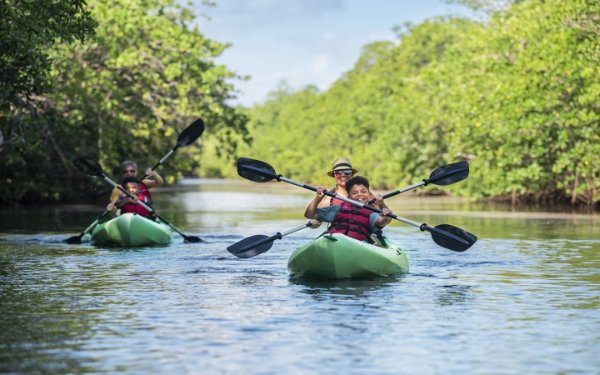 Kayak familiar en Matheson Hammock Park