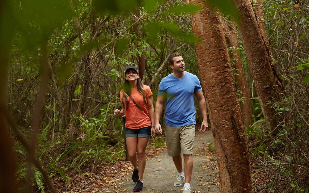 Everglades National Parkガンボ リンボ トレイル
