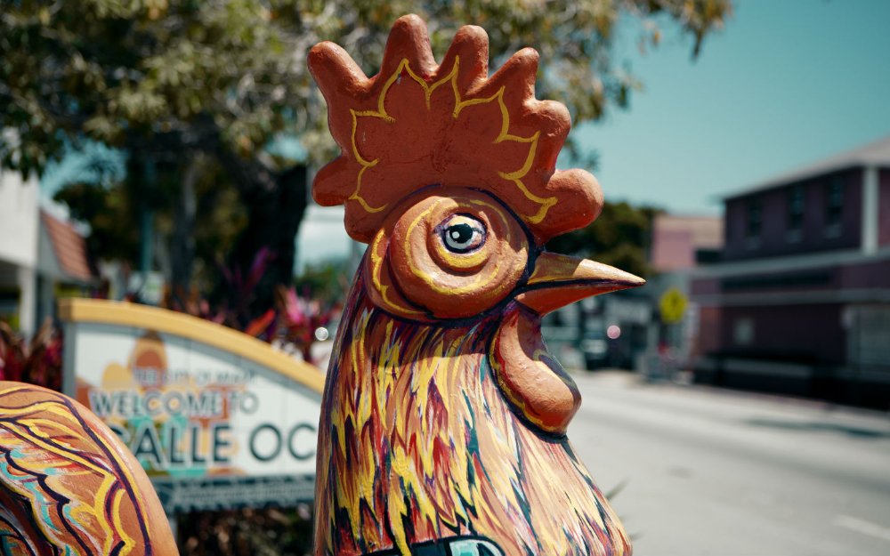 鶏の彫刻 Calle オチョイン Little Havana