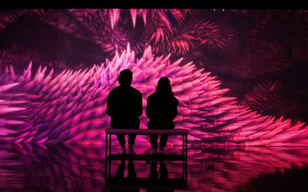 展示会を楽しむカップル Miami Beach