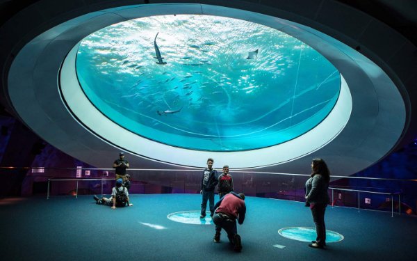 Fanmi anba lantiy oculus 31 pye nan Frost Science Museum Miami