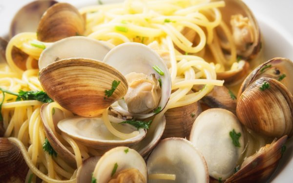  UM Pasta prato com amêijoas