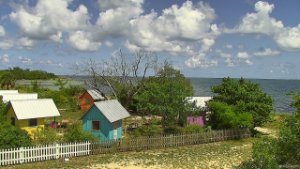 Une vue en direct de Virginia Key Beach Parc