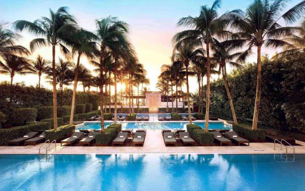 プール The Setai ヤシの木の間