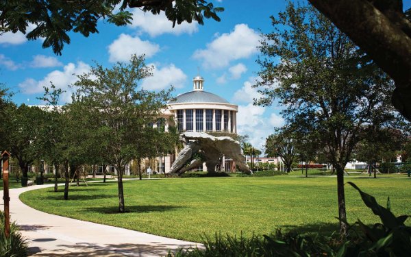 Centre ville Doral parc